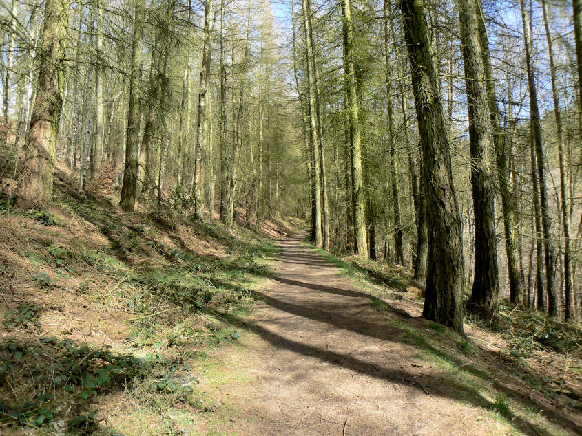 Beeley Plantation Beeley Plantation